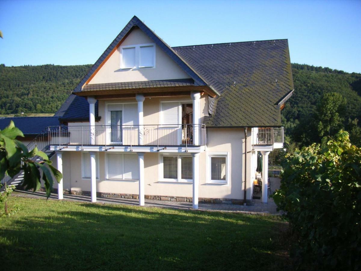 Hotel Ferienweingut-Liebfried Nehren  Exterior foto